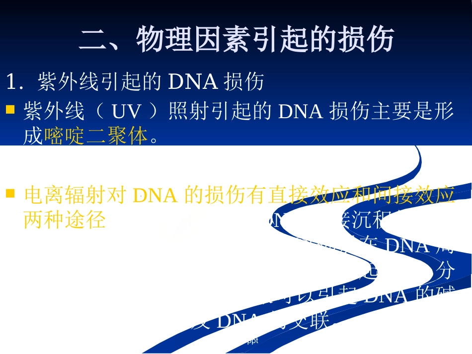 DNA损伤,修复和基因突变_第4页
