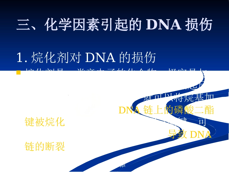 DNA损伤,修复和基因突变_第5页