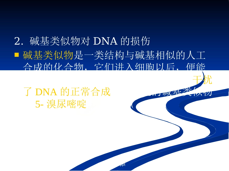 DNA损伤,修复和基因突变_第6页