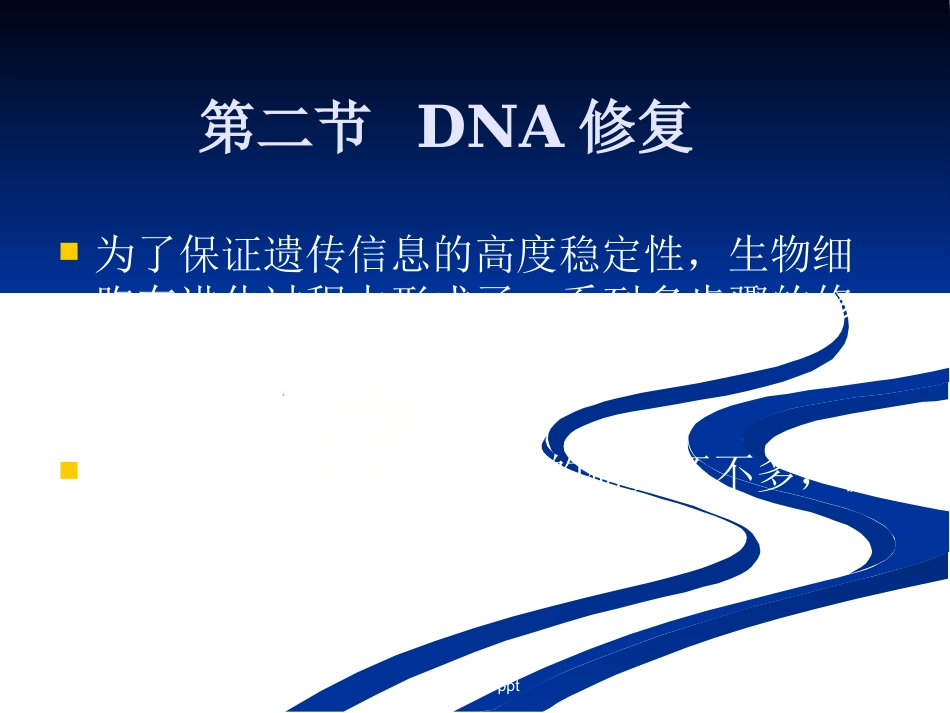 DNA损伤,修复和基因突变_第7页