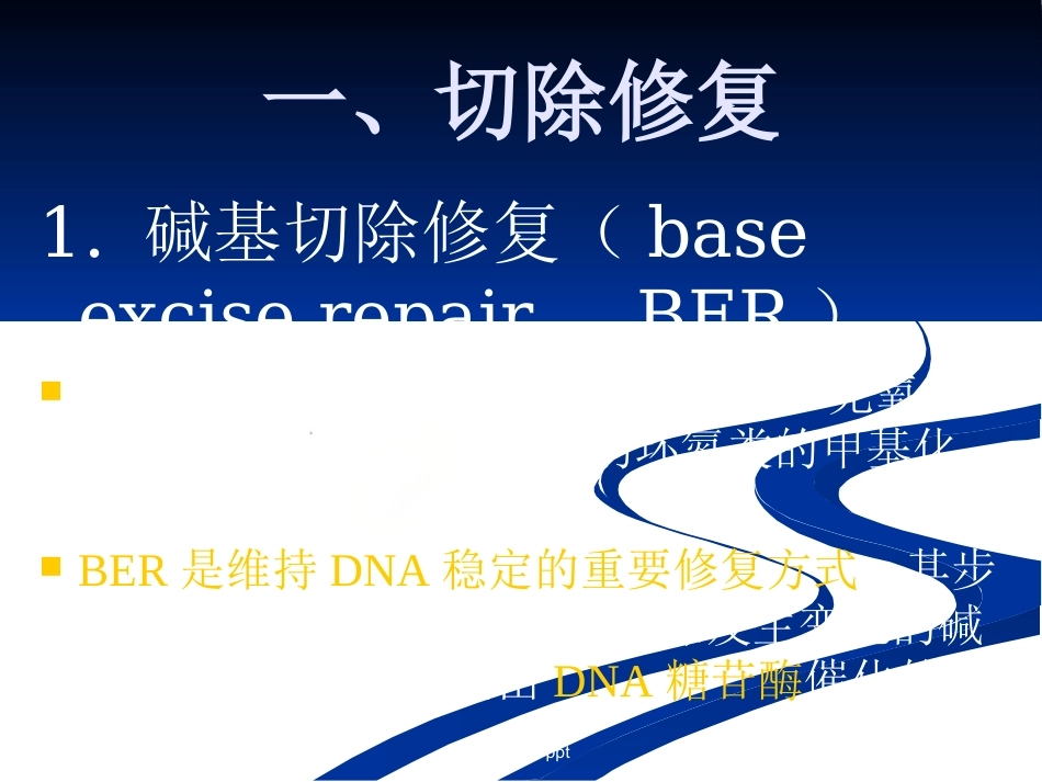 DNA损伤,修复和基因突变_第8页