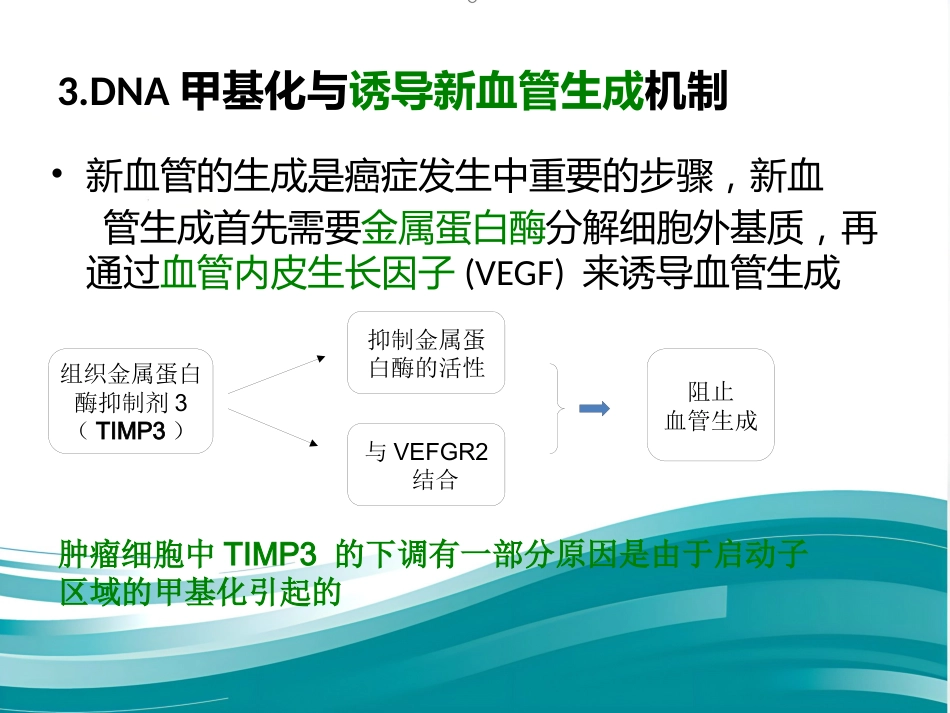 DNA甲基化与癌症_第10页