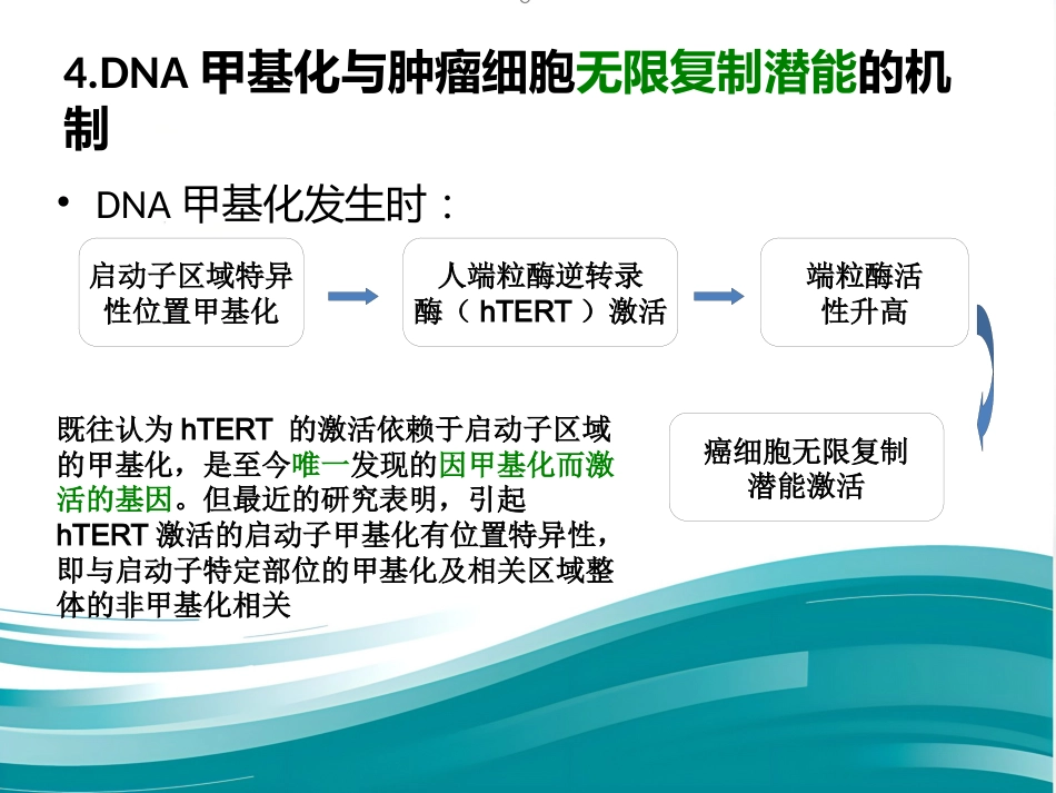 DNA甲基化与癌症_第12页