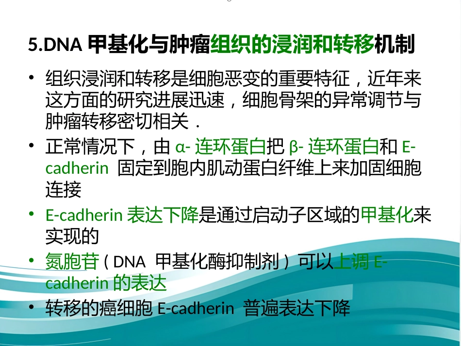 DNA甲基化与癌症_第13页