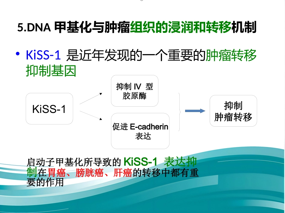 DNA甲基化与癌症_第14页