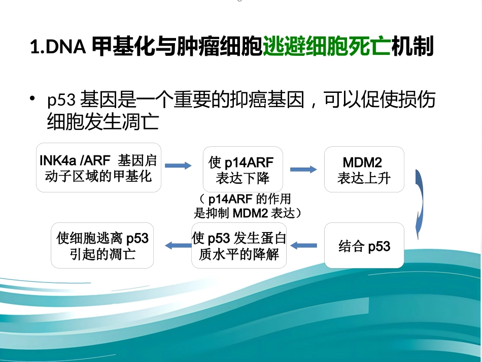 DNA甲基化与癌症_第6页