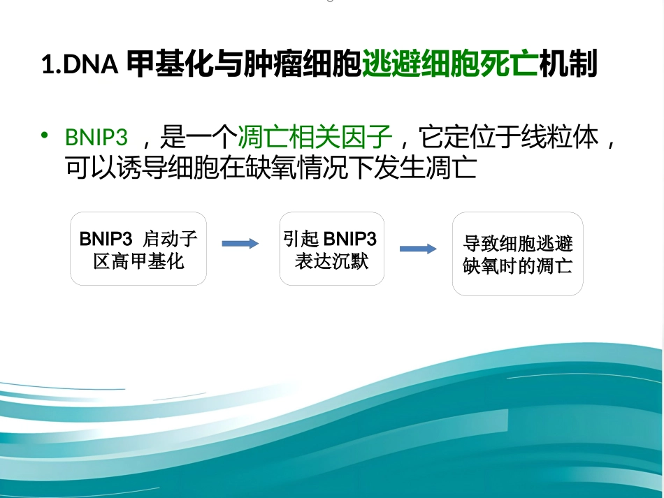 DNA甲基化与癌症_第7页