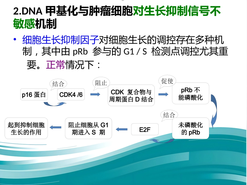 DNA甲基化与癌症_第8页