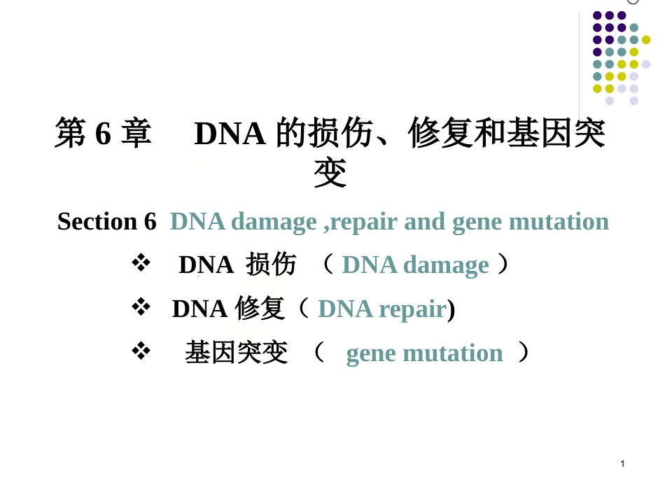 DNA的损伤、修复和基因突变_第1页