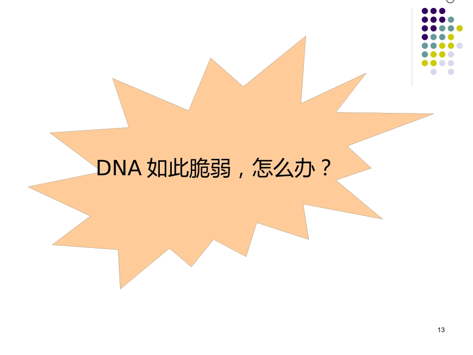DNA的损伤、修复和基因突变_第13页