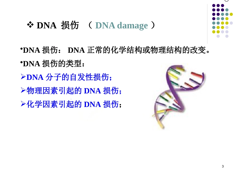 DNA的损伤、修复和基因突变_第3页
