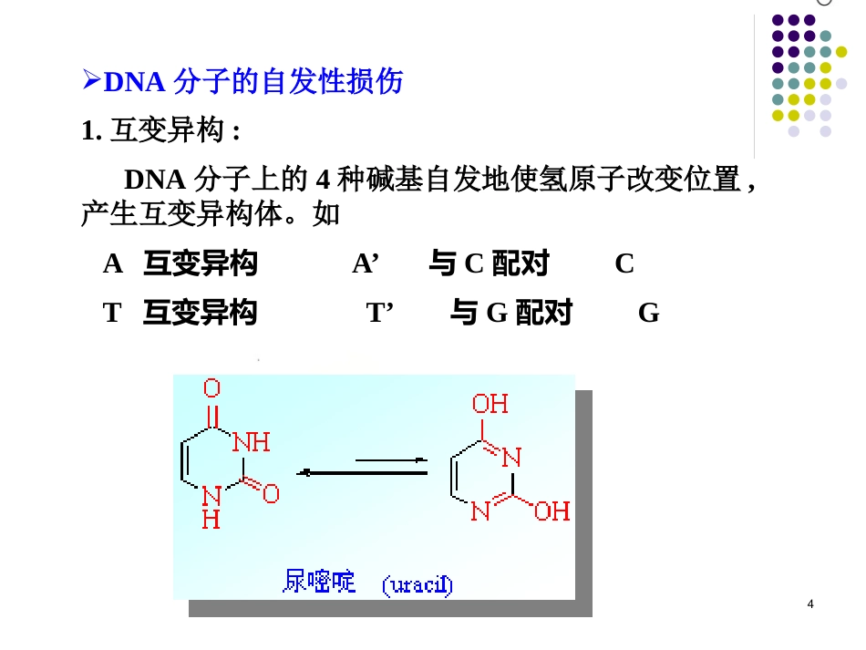 DNA的损伤、修复和基因突变_第4页