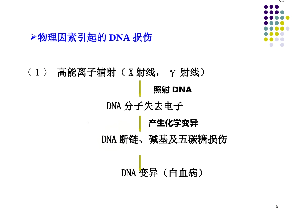 DNA的损伤、修复和基因突变_第9页