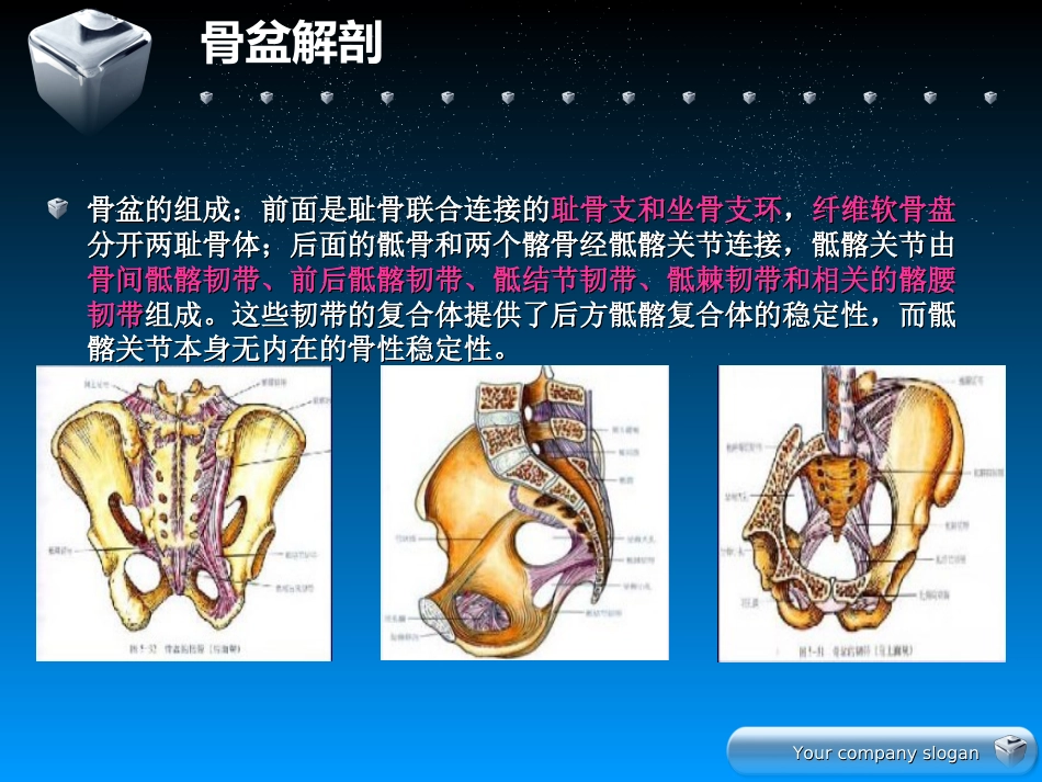 骨盆骨折的分型及治疗_第3页