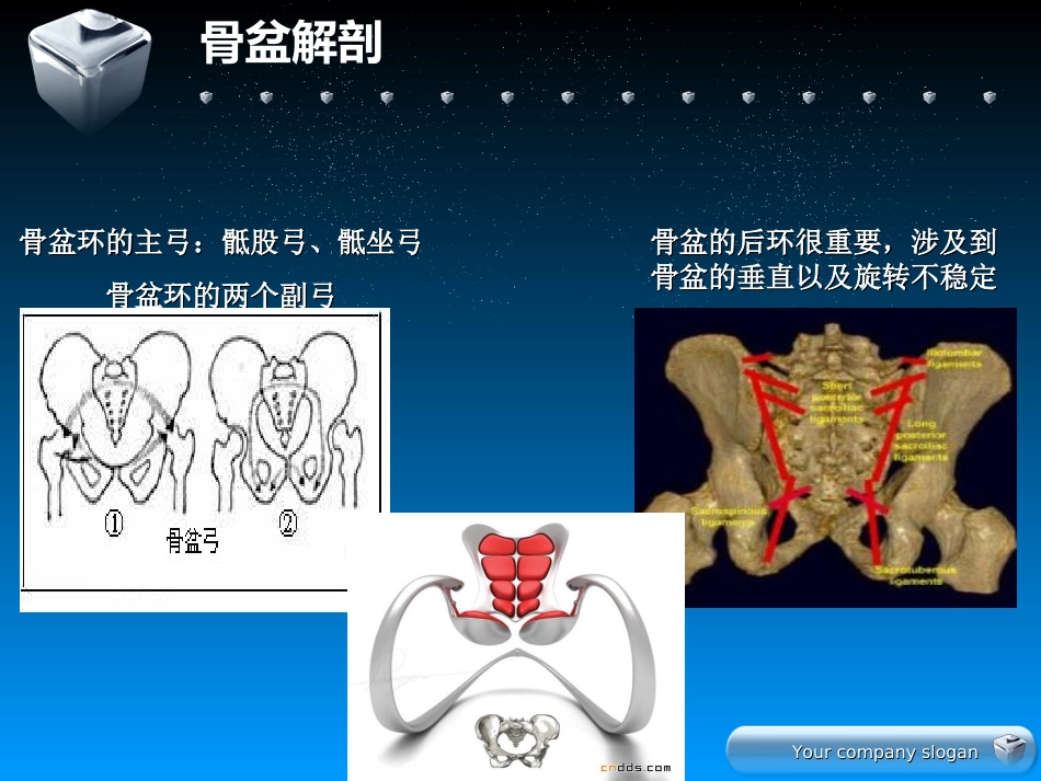 骨盆骨折的分型及治疗_第4页