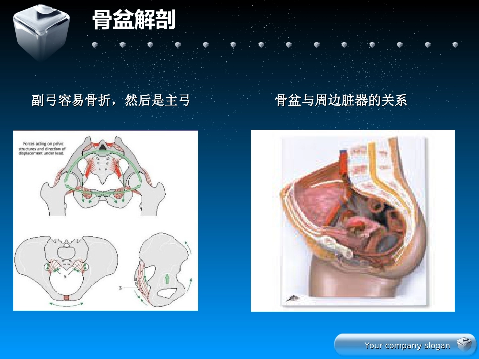 骨盆骨折的分型及治疗_第5页
