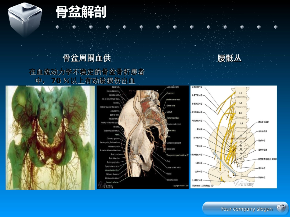 骨盆骨折的分型及治疗_第6页