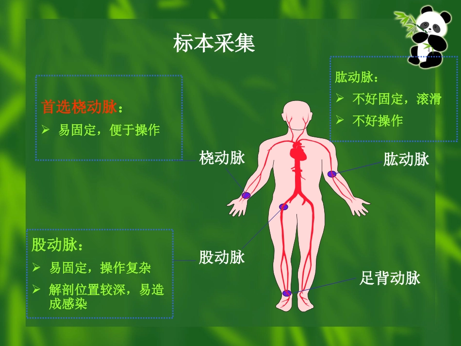 动脉采血操作技术_第12页