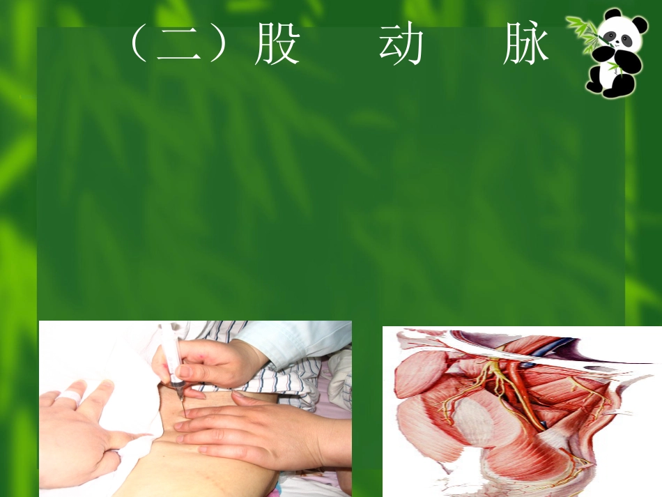 动脉采血操作技术_第9页