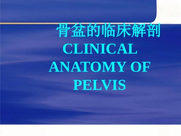 骨盆的临床解剖