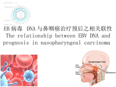EB病毒DNA与鼻咽癌治疗预后之相关联性