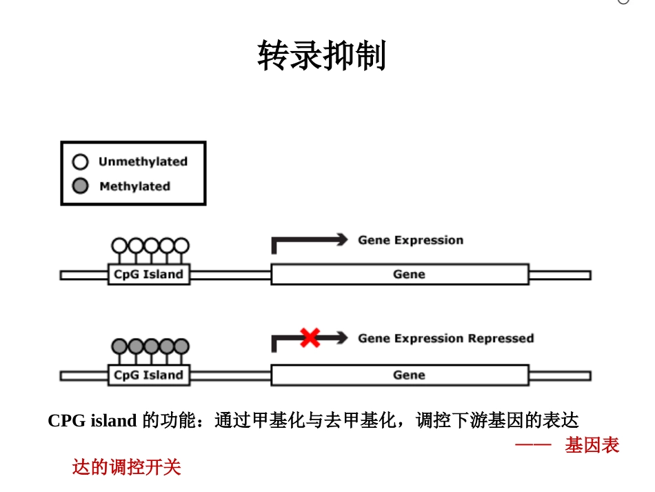 DNA甲基化与临床应用_第15页
