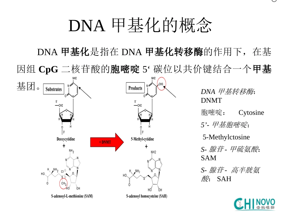 DNA甲基化与临床应用_第8页