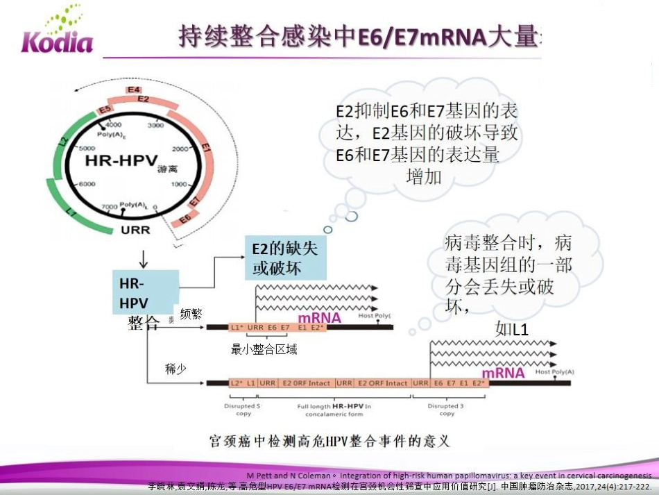 E6E7mRNA检测在宫颈癌筛查中的应用_第10页