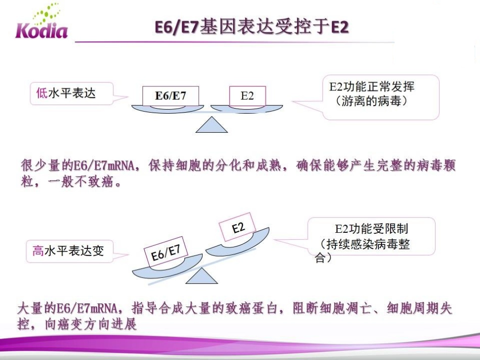 E6E7mRNA检测在宫颈癌筛查中的应用_第11页