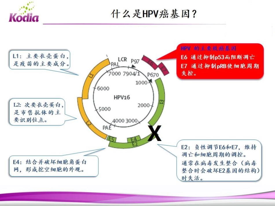 E6E7mRNA检测在宫颈癌筛查中的应用_第8页