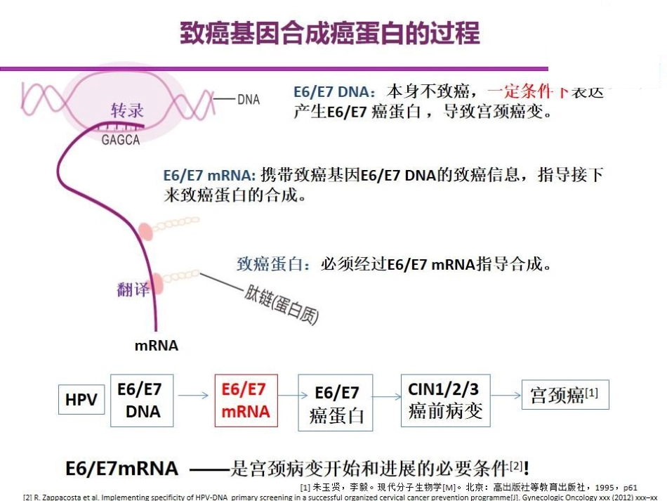 E6E7mRNA检测在宫颈癌筛查中的应用_第9页