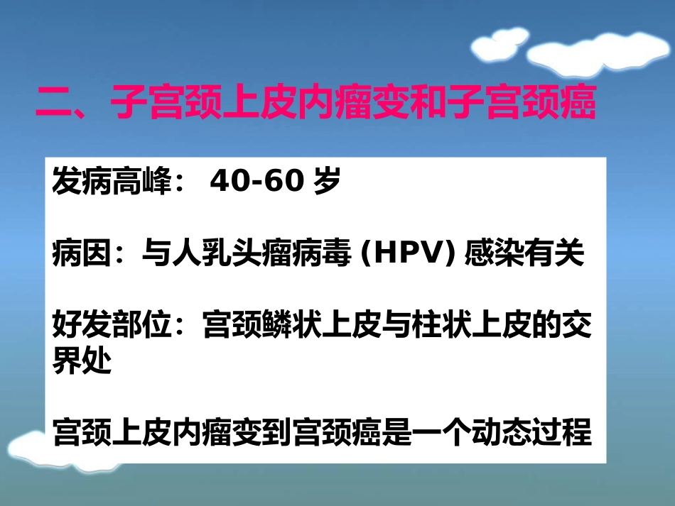 病理学13生殖系统和乳腺疾病_第12页