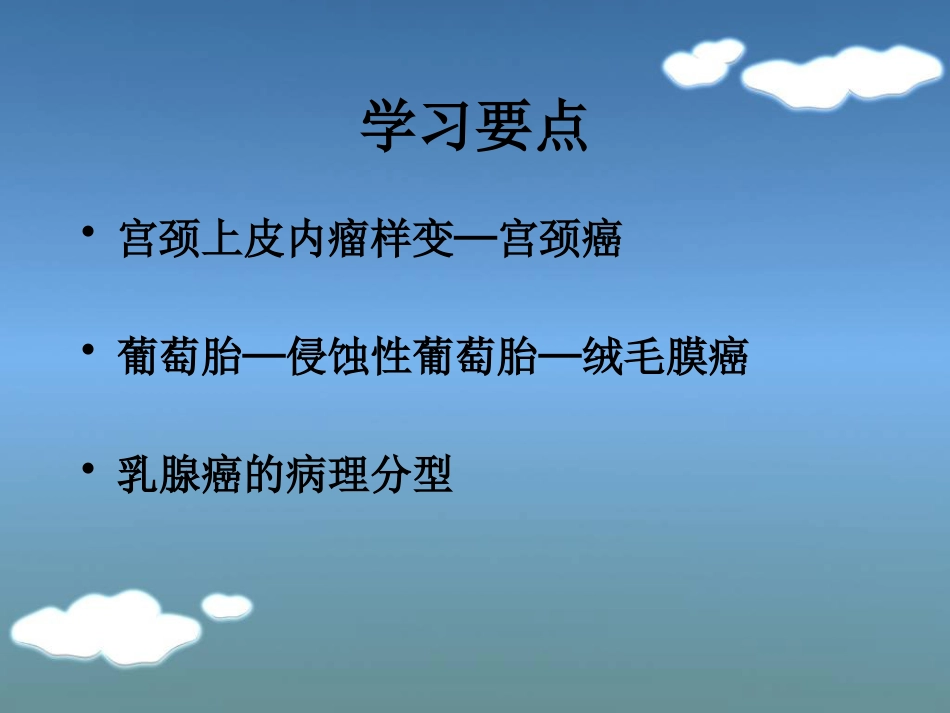 病理学13生殖系统和乳腺疾病_第3页