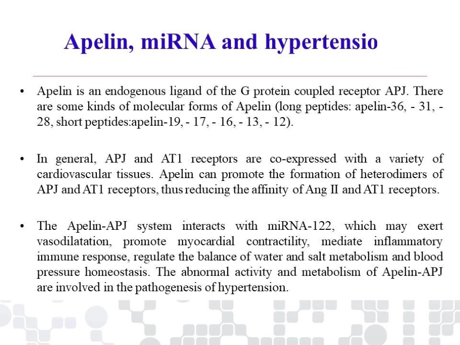 miRNA22-APLN信号与高血压心血管损伤_第11页