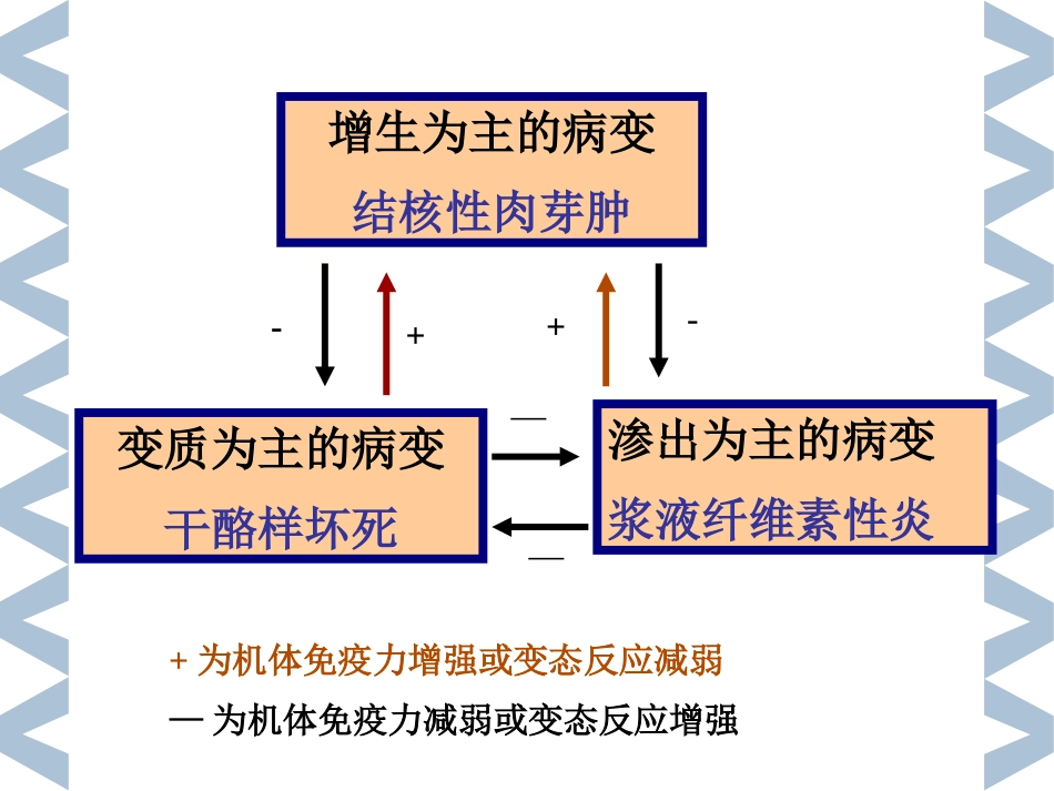 2019精选医学病理学传染s_第13页
