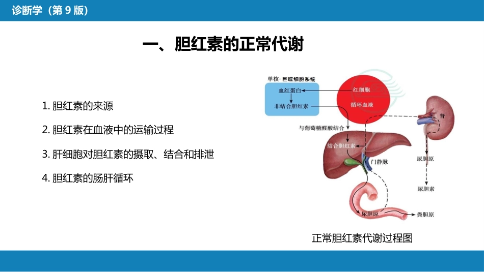 第一篇 常见症状 第十七节 黄疸_第5页