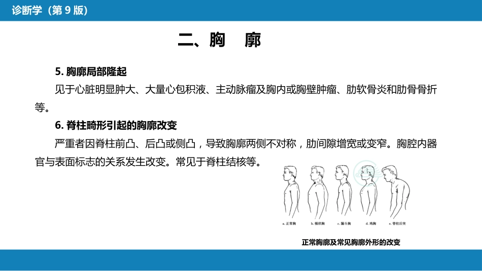 第三篇 体格检查 第五章 胸部检查（第一节 至 第四节）_第12页