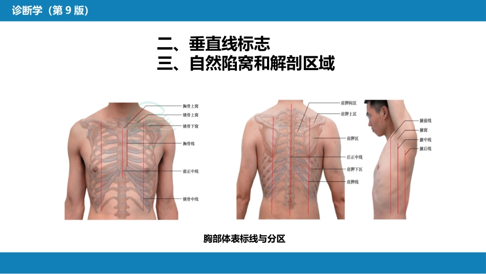 第三篇 体格检查 第五章 胸部检查（第一节 至 第四节）_第6页