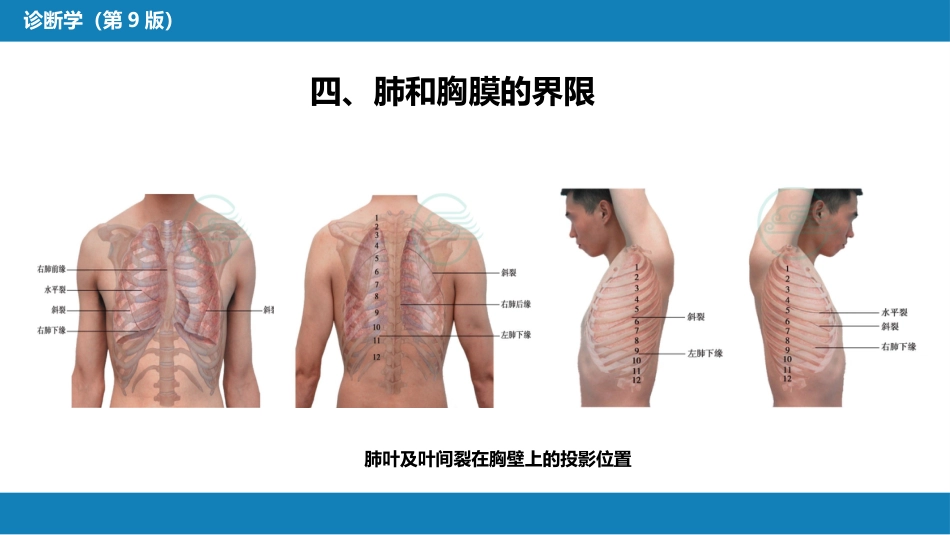 第三篇 体格检查 第五章 胸部检查（第一节 至 第四节）_第7页