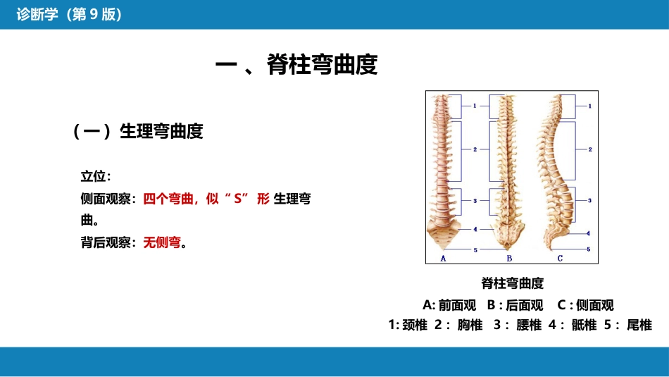 第三篇 体格检查 第八章 脊柱与四肢检查_第5页