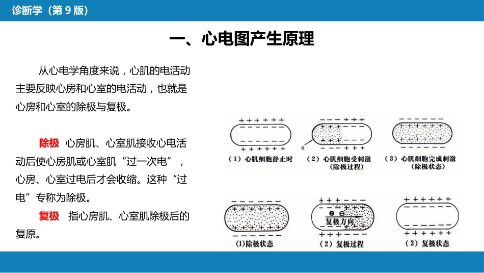 第五篇 辅助检查 第一章 心电图_第5页