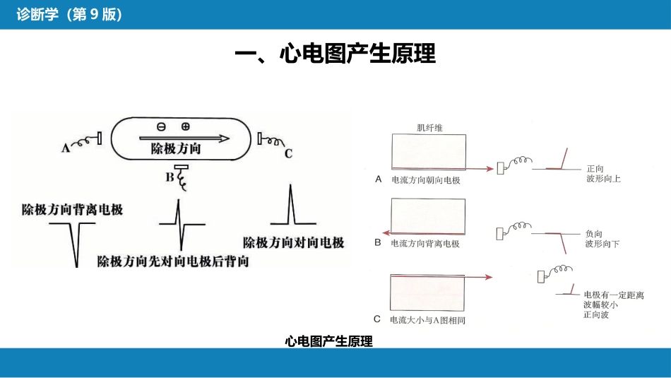 第五篇 辅助检查 第一章 心电图_第6页