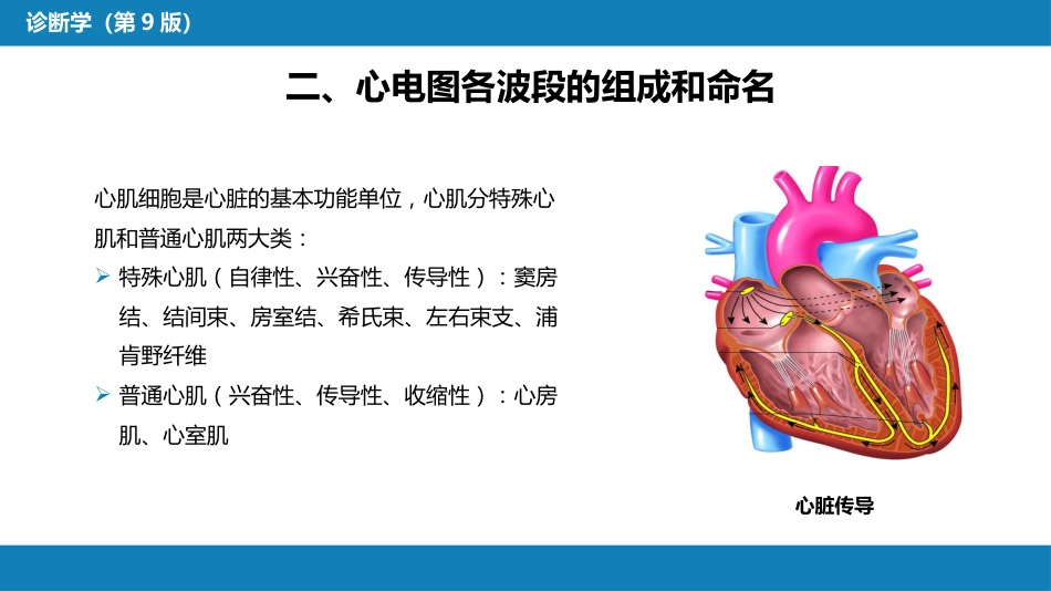 第五篇 辅助检查 第一章 心电图_第7页