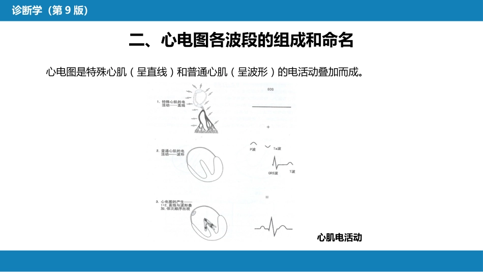 第五篇 辅助检查 第一章 心电图_第8页