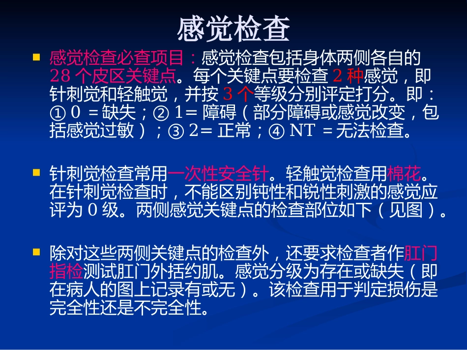 脊髓损伤的康复评定_第13页
