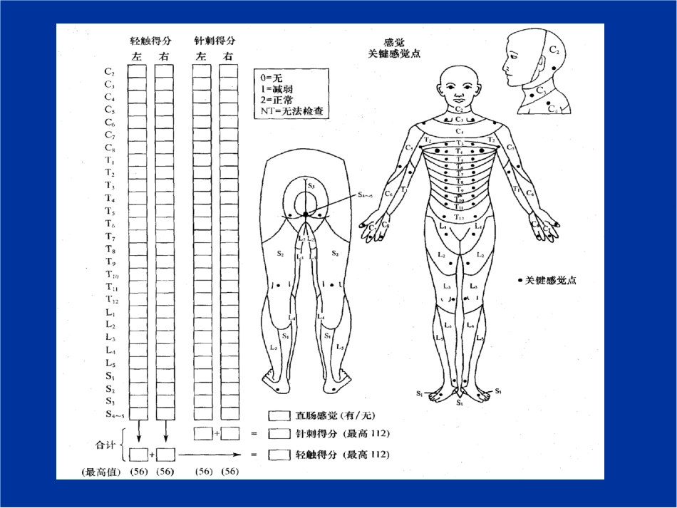 脊髓损伤的康复评定_第14页