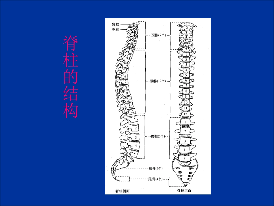 脊髓损伤的康复评定_第3页