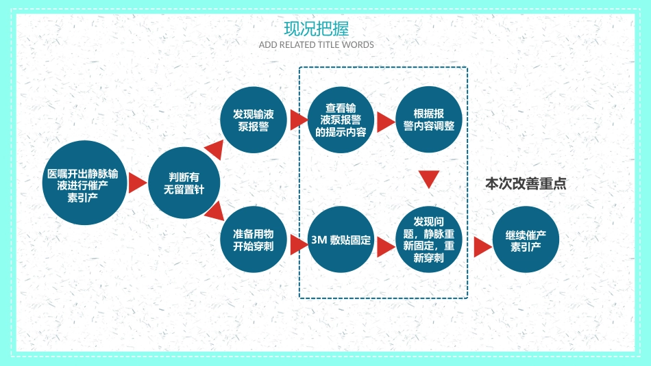 品管圈医疗QC-提高孕妇从穿刺到分娩后留置针的完好率7_第11页