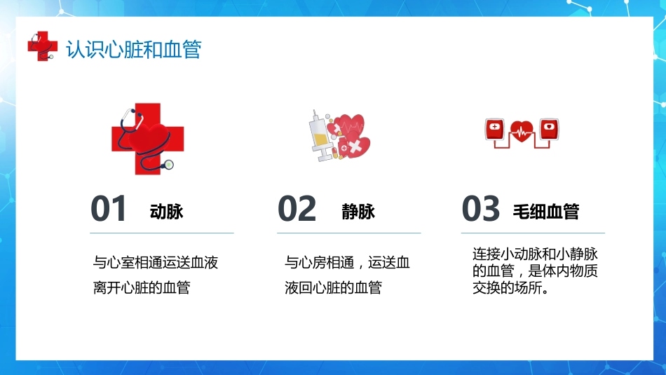 血液循环知识讲座汇报(9)_第11页