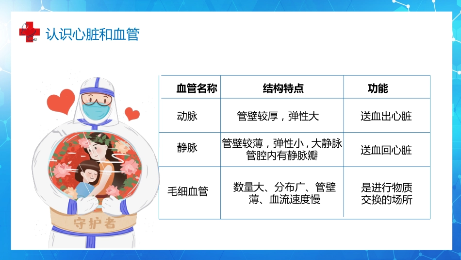 血液循环知识讲座汇报(9)_第12页